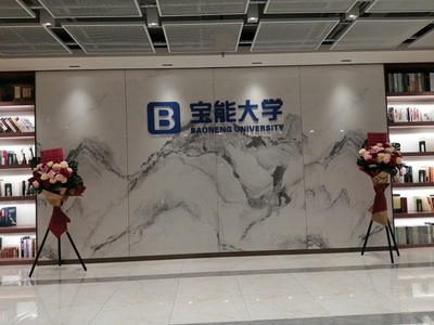 宝能大学