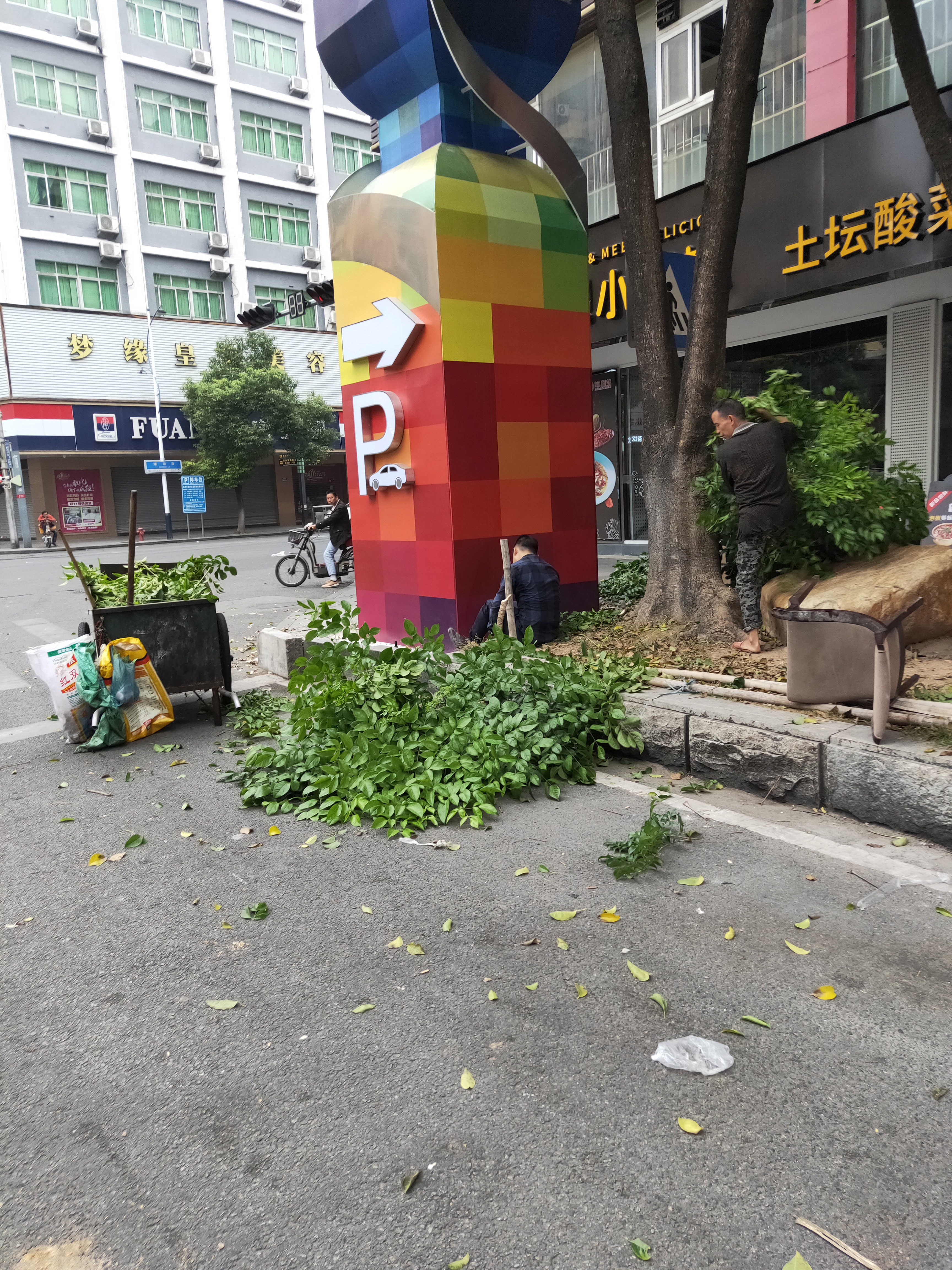 IMG20181110074435.jpg